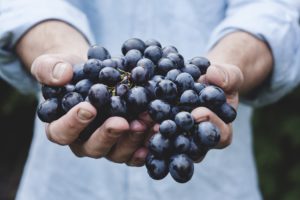 One bunch of grapes